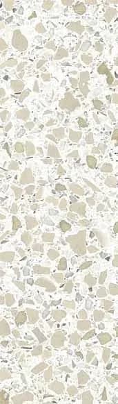 1659 Campo Chiara, Field tile, Rectangle, 12×24, Polished