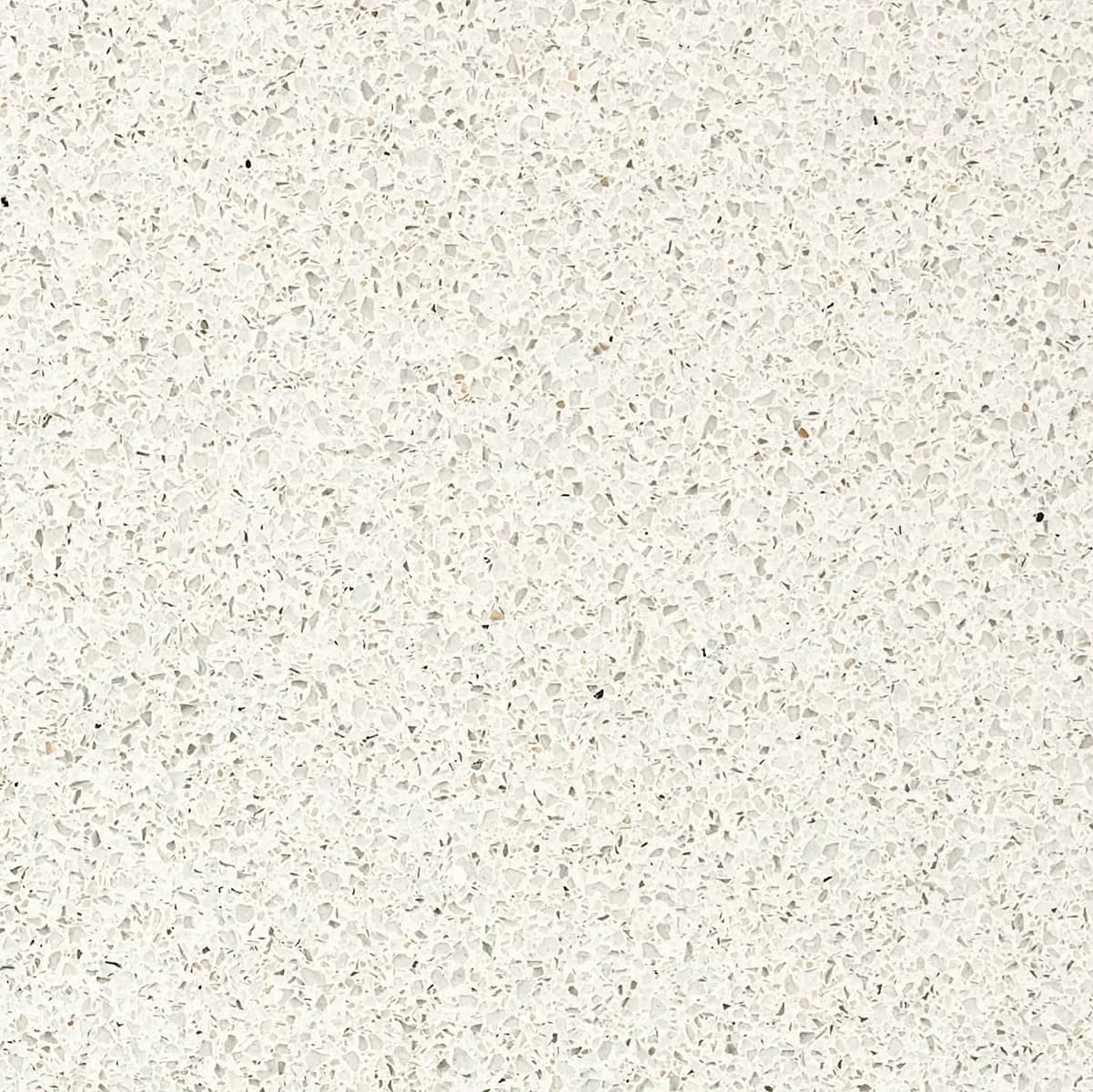 655 White Star, Field tile, Square, 48×48, Polished