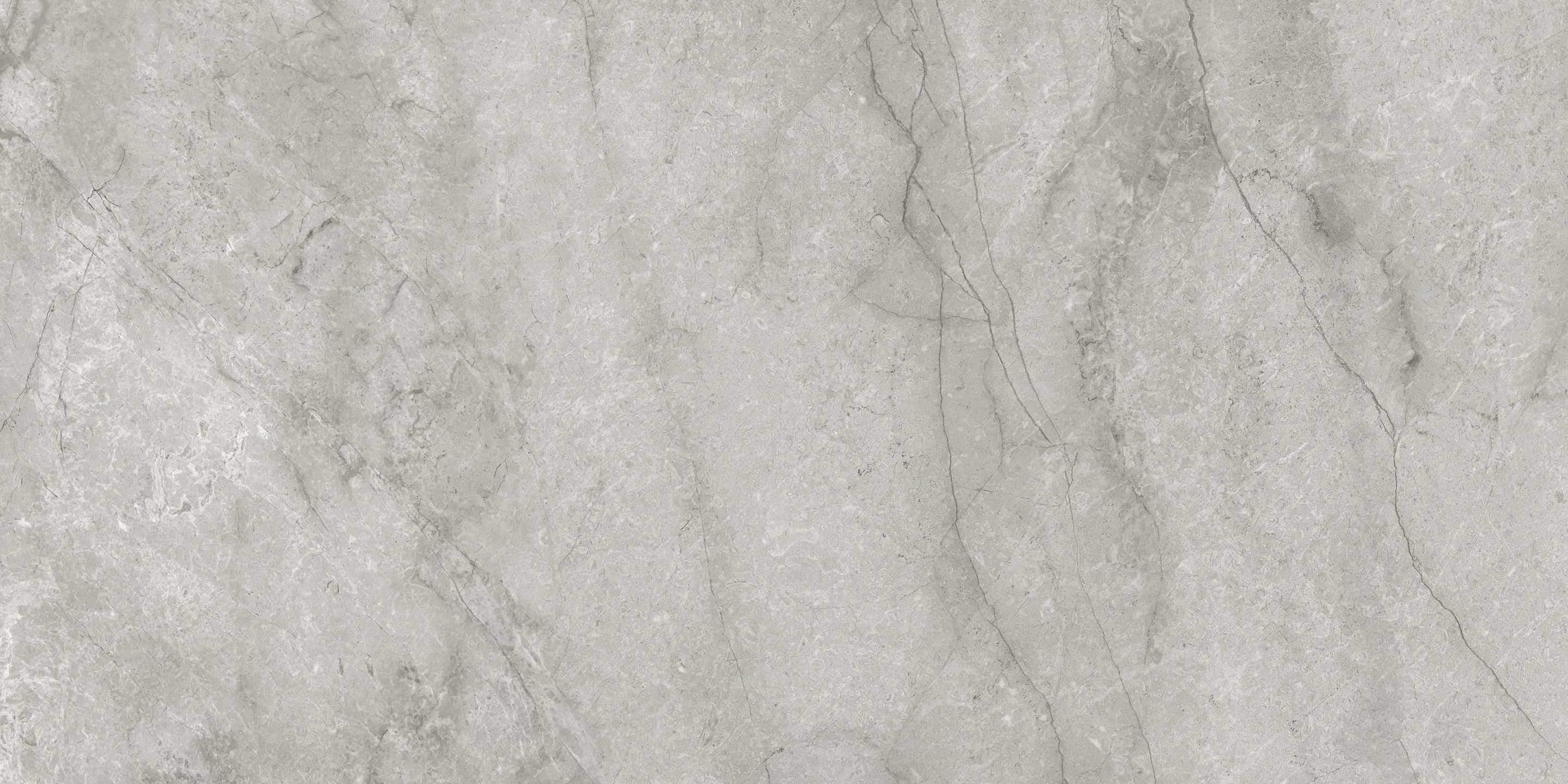 Paradiso Argento, Field tile, Rectangle, 4×12, Honed