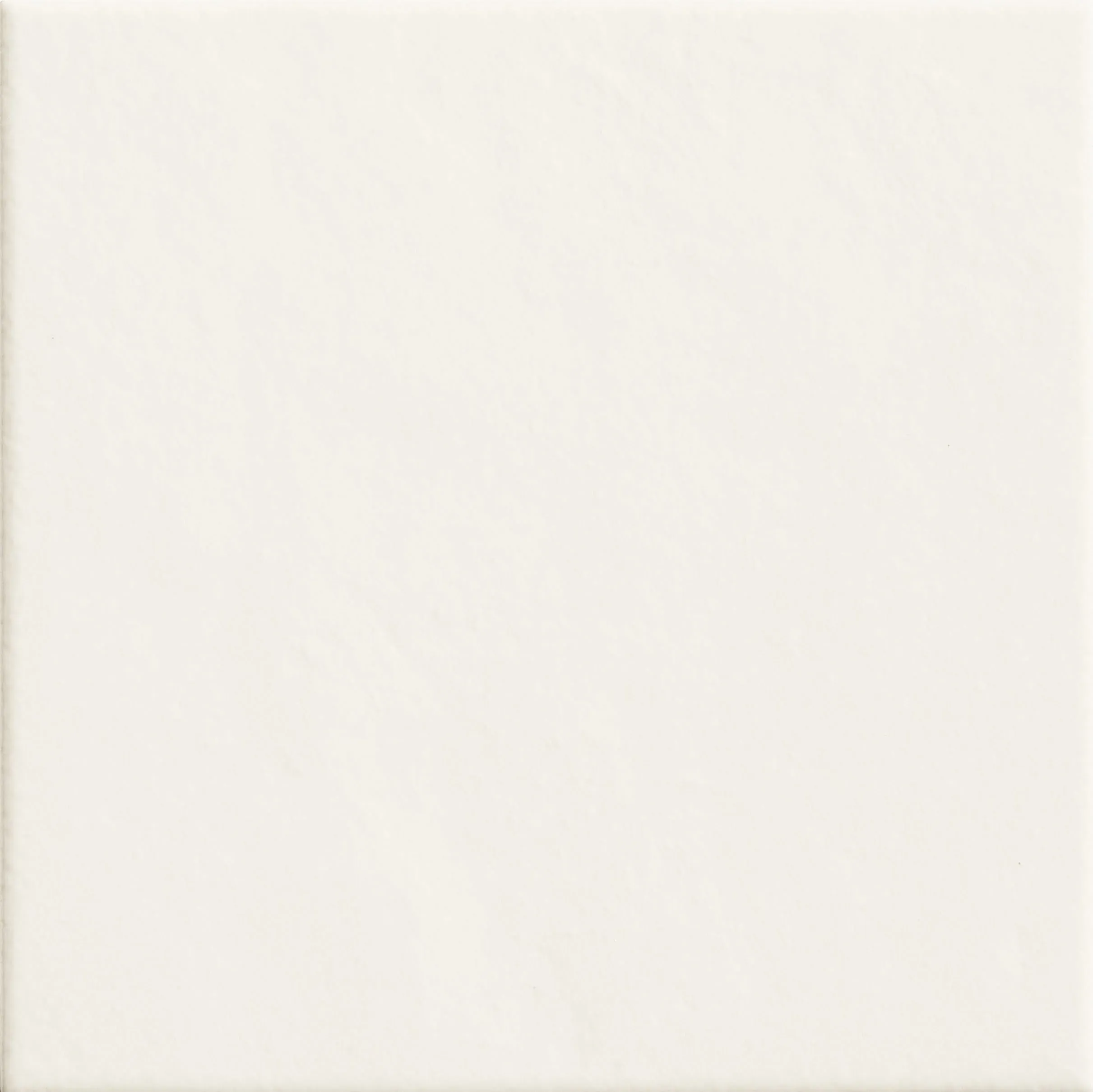Double White, Field tile, Square, 8×8, Glossy
