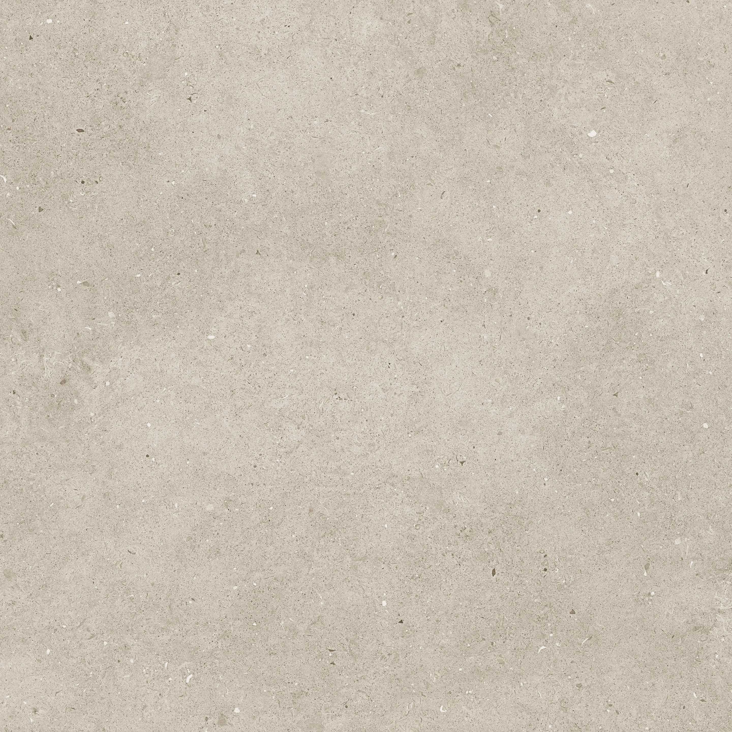 Beige, Field tile, Square, 24×24, Matte