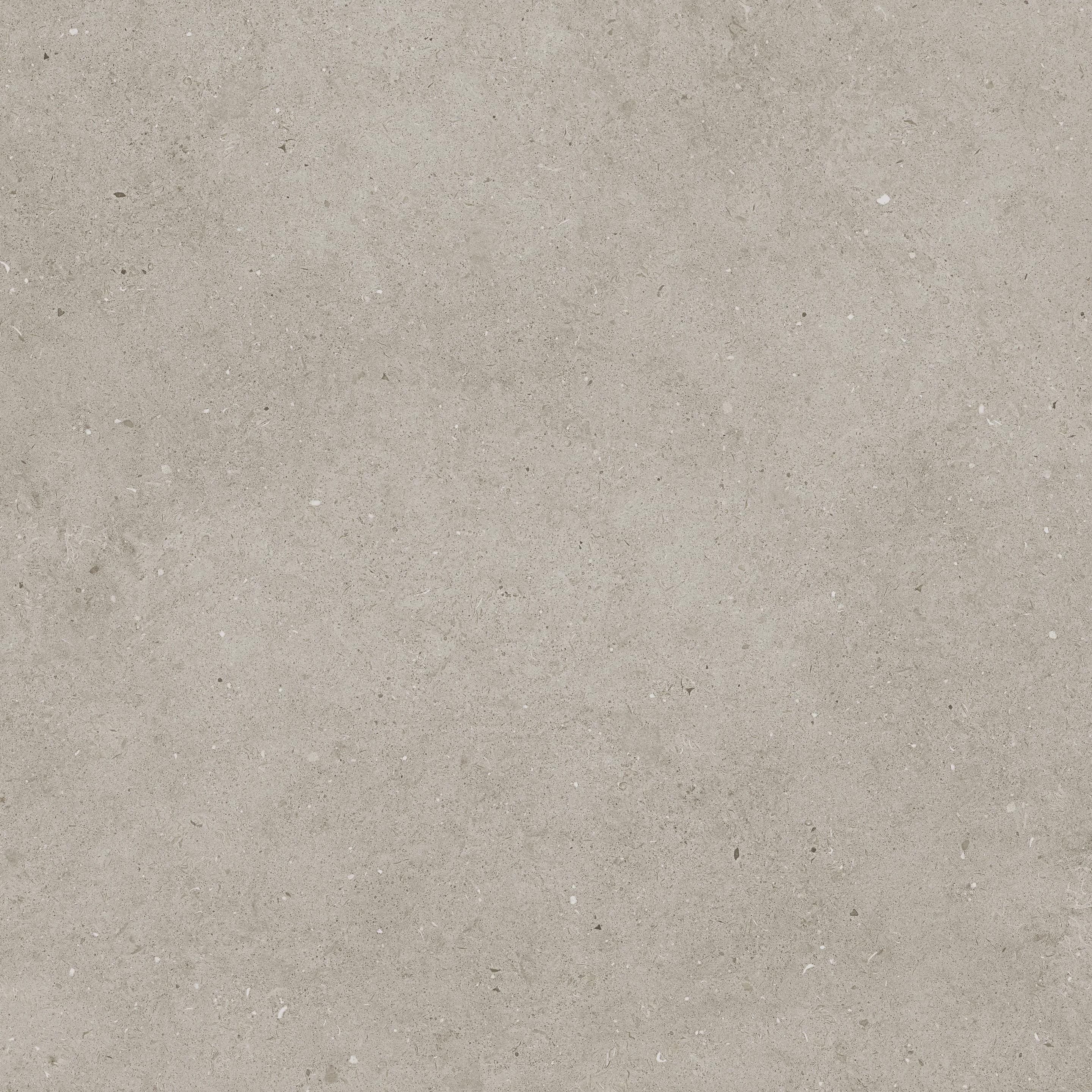 Oyster, Field tile, Rectangle, 4×24, Matte