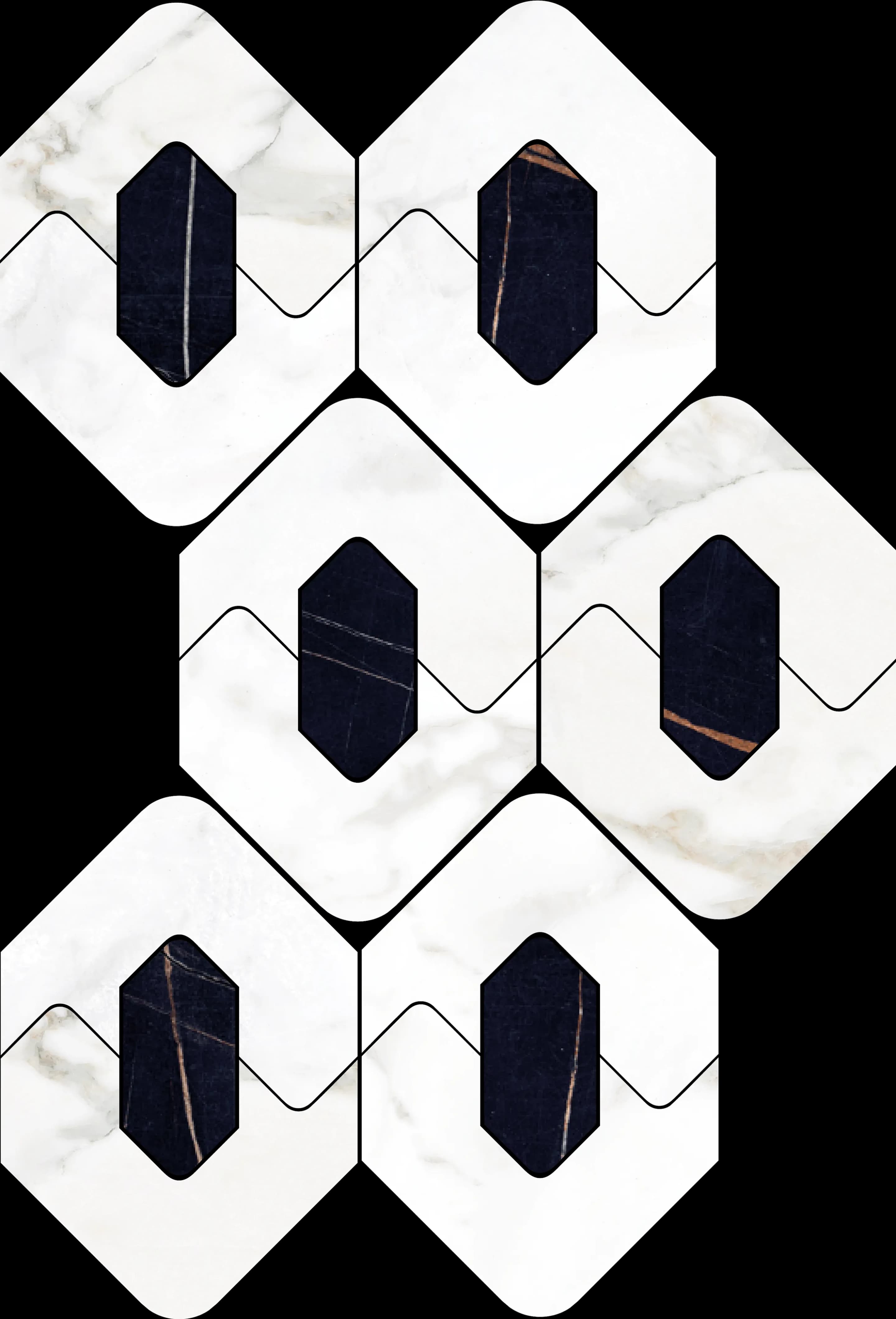 Borghini/Nero, Mosaic, Rectangle, Hexagon T18 Mosaic, 8×13, Polished
