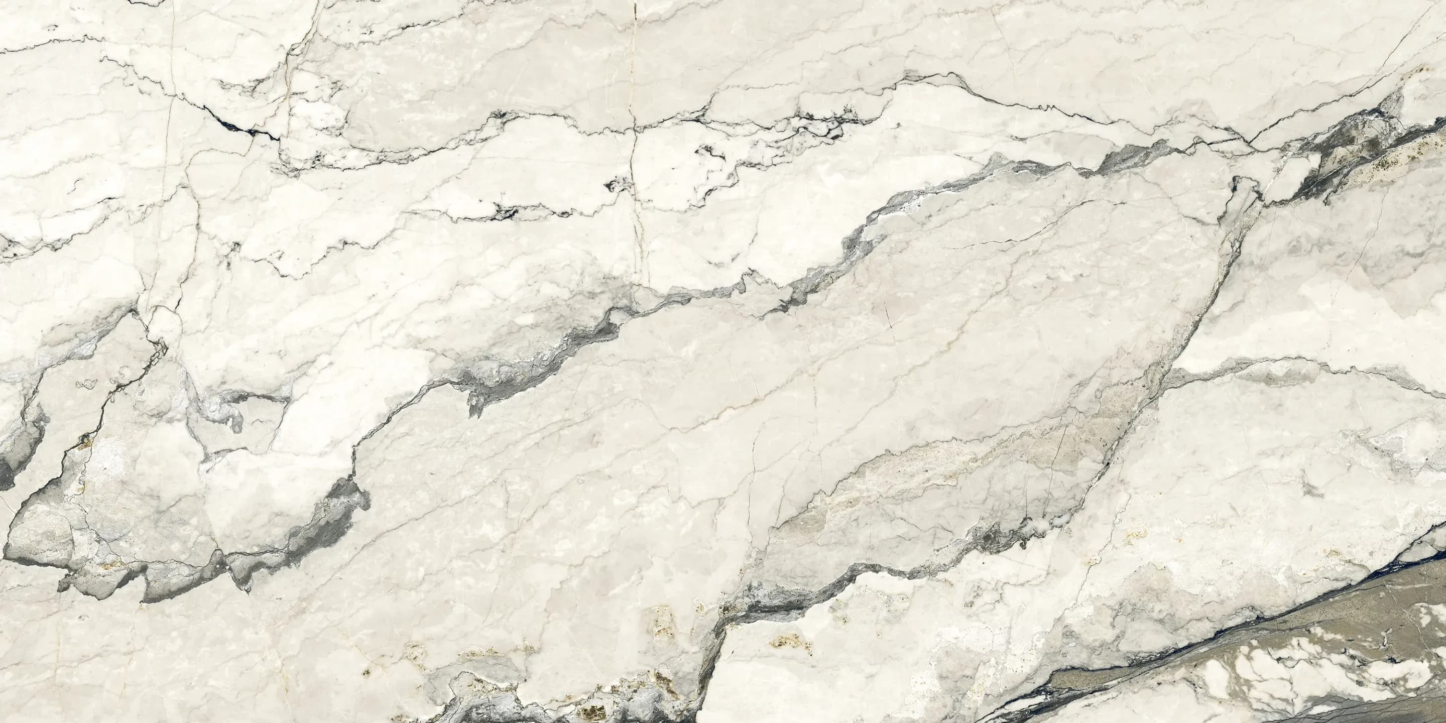 White, Field tile, Rectangle, 12×24, Natural