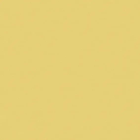 Cedro, Field tile, Square, 2×2, Matte