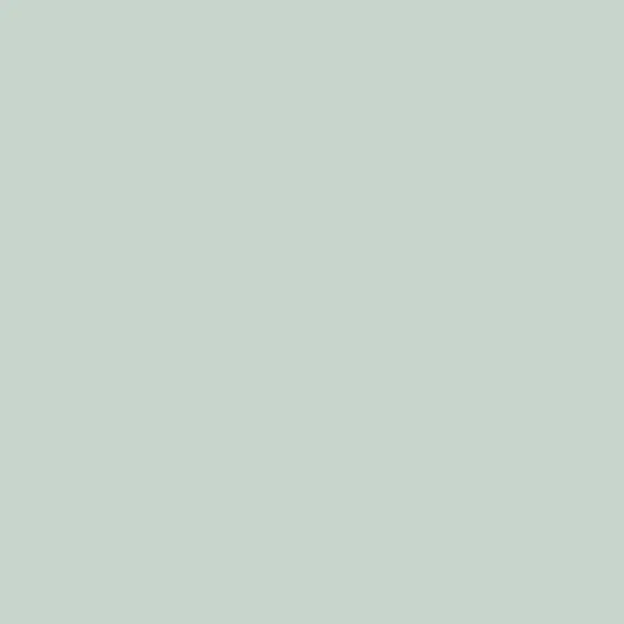 Edera, Field tile, Rectangle, 3×10, Matte