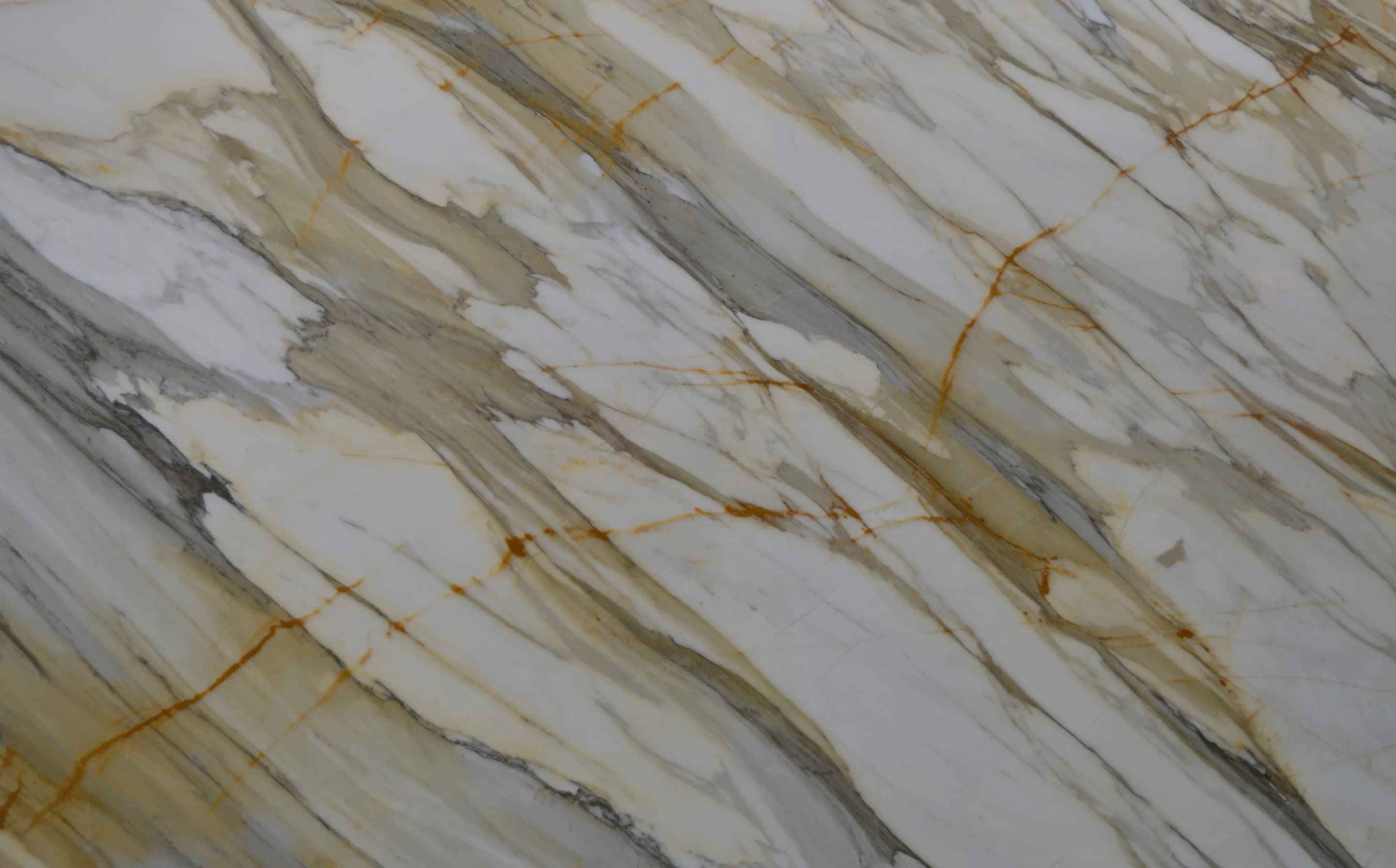 Paonazzo, Slab, Rectangle, SLAB, Polished