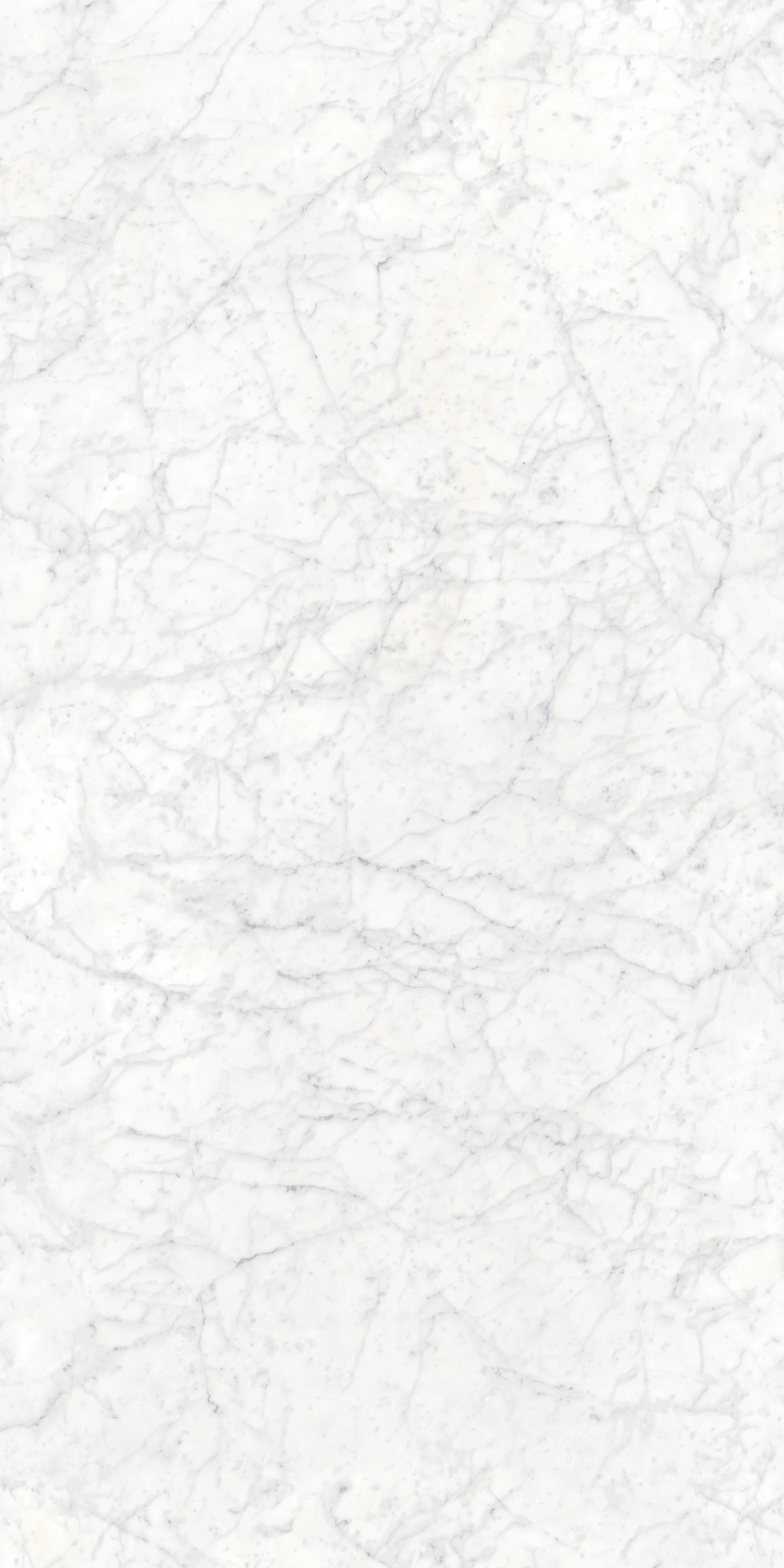Bianco Gioia, Field tile, Rectangle, 12×24, Matte