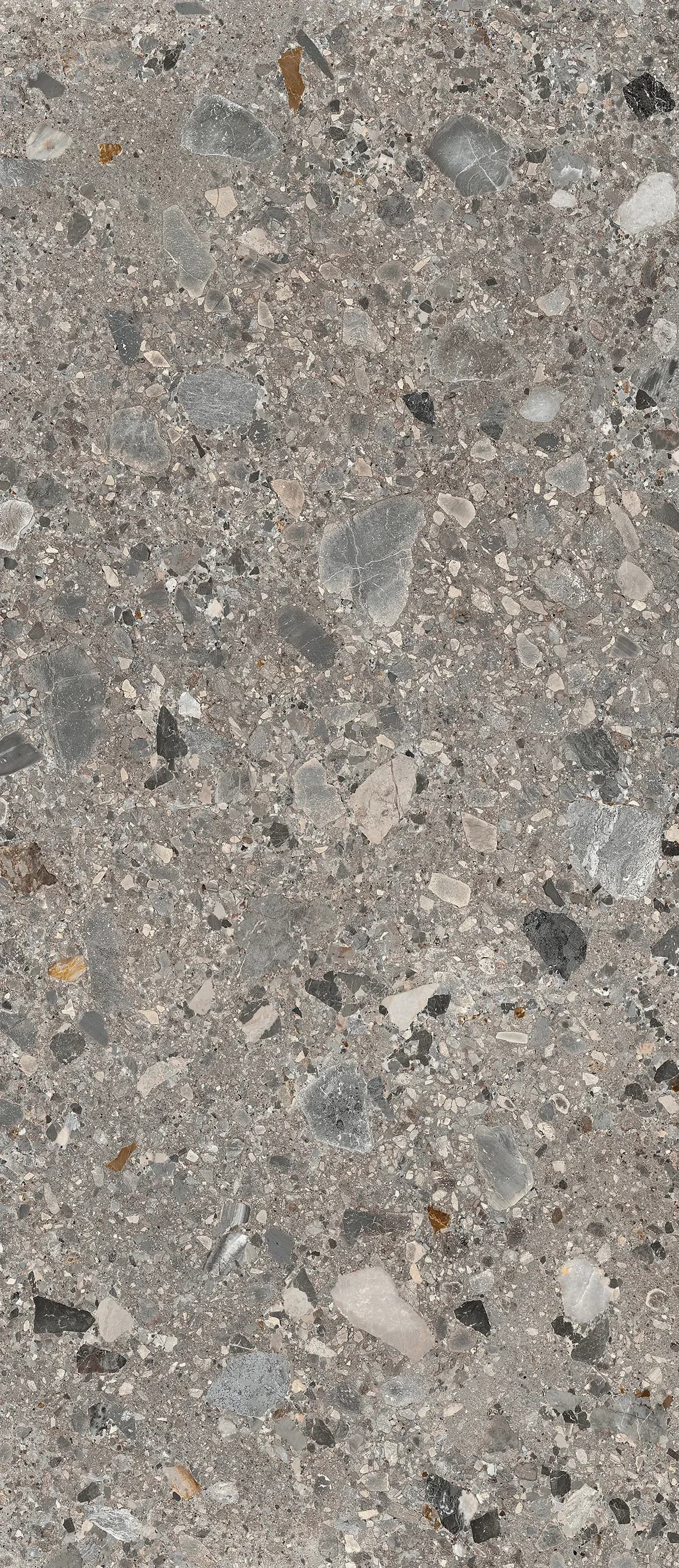 Brindle, Field tile, Rectangle, 24×48, Honed