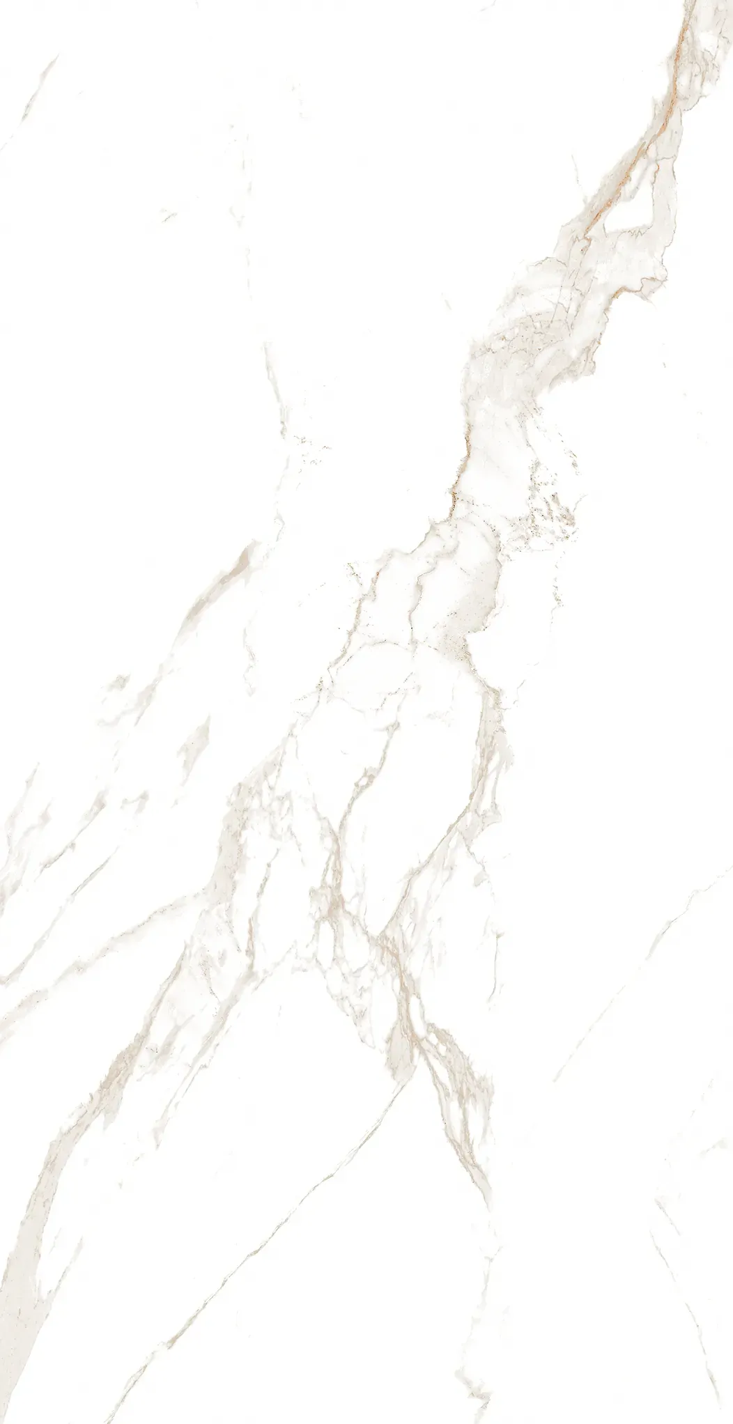 Statuario Oro, Slab, Rectangle, 48×110, Polished
