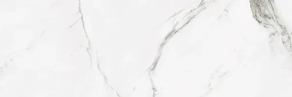 Statuario, Field tile, Rectangle, 12×24, Glossy