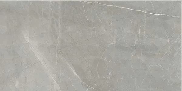 Amani Grey, Field tile, Square, 24×24, Polished
