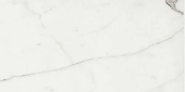 Calacatta, Field tile, Rectangle, 24×48, Polished
